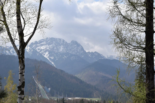 A breathtaking view of the Tatra Mountains from Zakopane, with the Wielka Krokiew ski jump nestled among the scenic forested slopes.