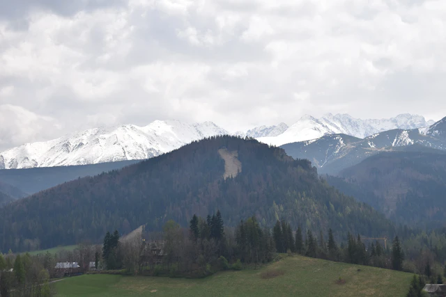 A view from Antalowka viewpoint showcasing the stunning snow-capped peaks of the Tatra Mountains. The scene captures the contrast between the forested hills and the majestic alpine backdrop.