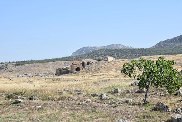 A tranquil scene near the ancient theater of Hierapolis, where historic ruins lie amidst the vast plains and hills of this UNESCO World Heritage Site.