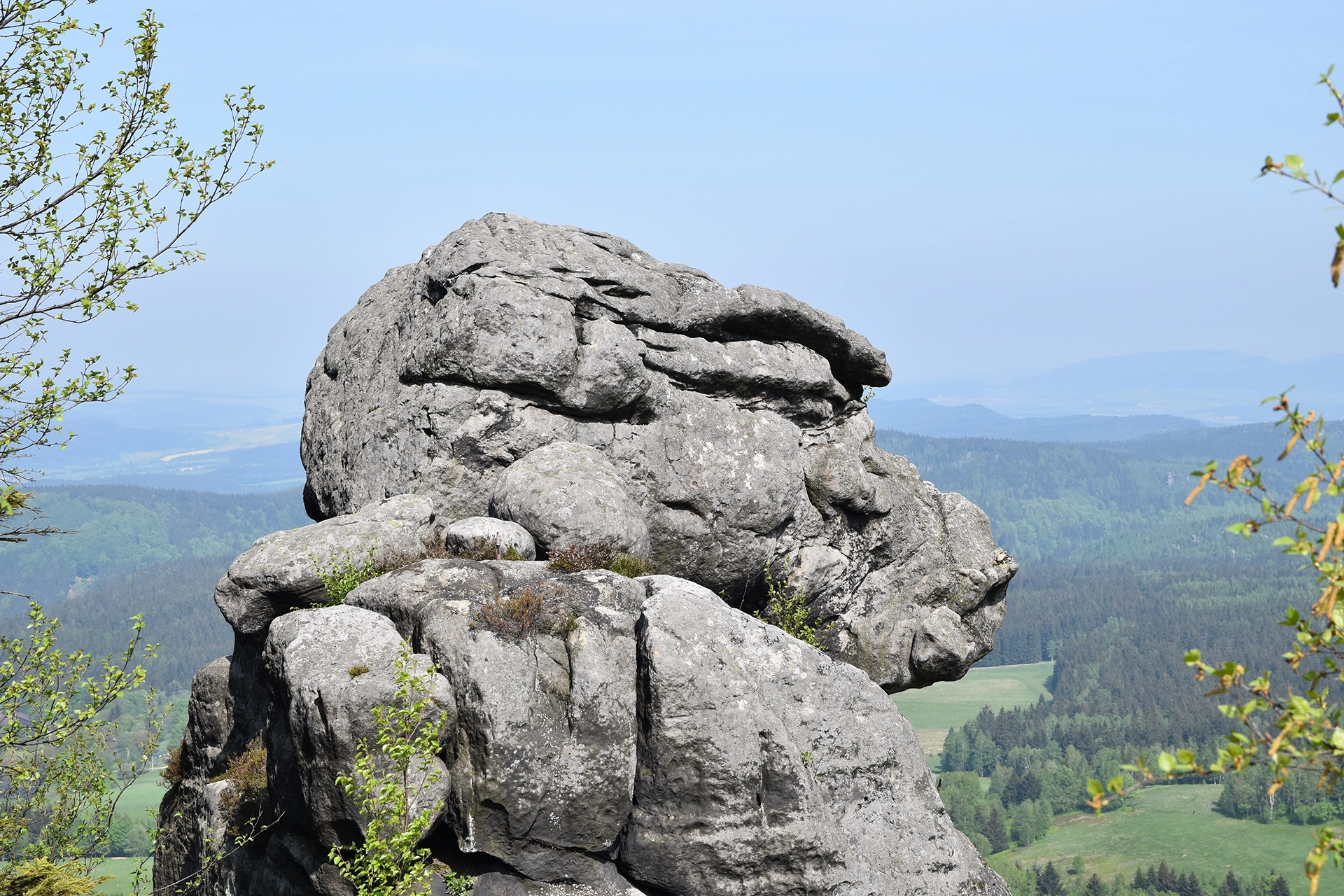 A monkey-shaped rock on Szczeliniec Wielki in Table Mountains National Park, one of the top attractions of the Polish Sudetes. This natural sculpture captivates visitors with its distinct form and breathtaking surroundings.