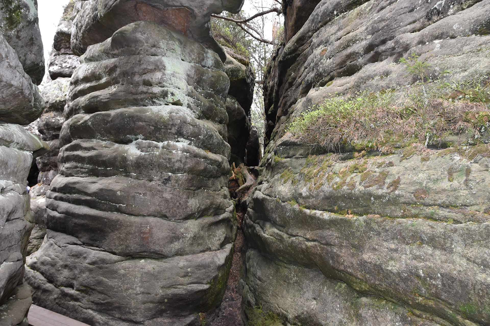 Another perspective of the maze-like sandstone formations in Bledne Skaly. The layered rock walls and narrow passages offer an immersive journey through this captivating natural labyrinth.