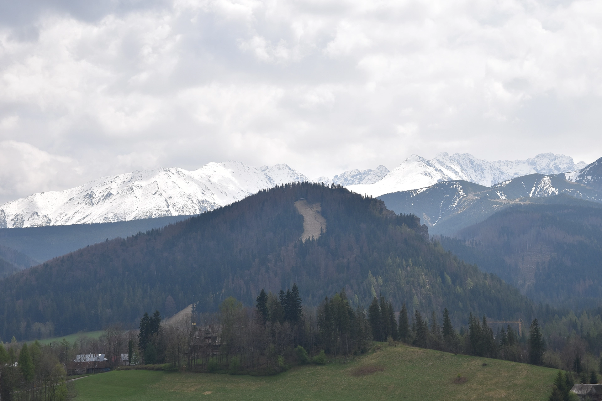 A view from Antalowka viewpoint showcasing the stunning snow-capped peaks of the Tatra Mountains. The scene captures the contrast between the forested hills and the majestic alpine backdrop.